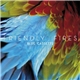 Friendly Fires - Blue Cassette